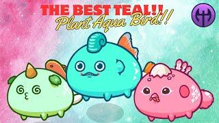 Axie Classic V2 The Best Teal Shell Team!!  Lunacian Code: SaveAxieClassic