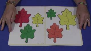 Leaf Size Match File Folder Game