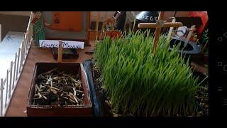Science Project :  Model of organic farming for science exhibition.