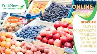 Этапы и особенности процесса хранения фруктов и овощей