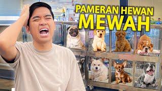 SIDAK PAMERAN HEWAN MEWAH! GAK NYANGKA ANJING BISA SEMAHAL INI?!