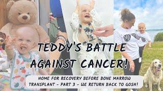 TEDDY BEARS BATTLE AGAINST CANCER! - HOME FOR RECOVERY BEFORE BONE MARROW TRANSPLANT - PART  3!