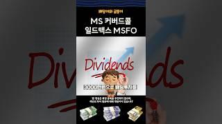 일드맥스 MSFO에 3천만원 투자시 매달 벌어지는 일 ( feat. ms 마이크로소프트 )