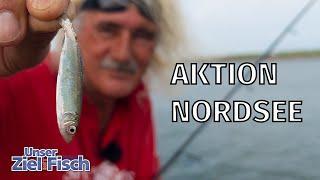 HIER ANGELT KAUM JEMAND: MYTHOS NORDSEE - Unser Ziel ist Fisch mit Jörg Ovens