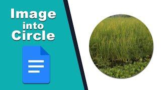how to use crop images into a circle shape in google docs
