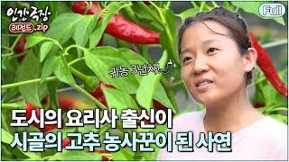 [인간극장고추밭 자운 씨의 즐거운 우리집⭑Full] ️ 영양에서 고추 농사 지으며 가족의 완성을 꿈꿔요 | KBS 방송