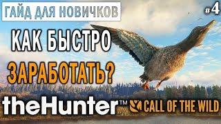 theHunter Call of the Wild #4  - Как Быстро Заработать и Прокачаться? - ГАЙД