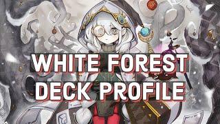 White Forest Deck Profile + Combos (IN-DEPTH) - Kashtira Fiendsmith White Forest Deck (Aug 2024)