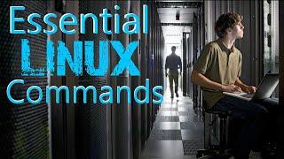 Essential Linux Commands for Beginners in 2023