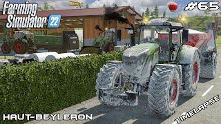 Spreading MANURE and LIME with FENDTs | Animals on Haut-Beyleron | Farming Simulator 22 | Episode 65