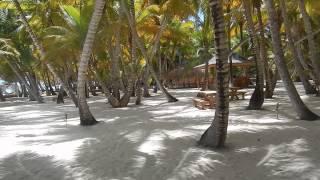 Экскурсия на остров Саона (trip to the island of Saona)