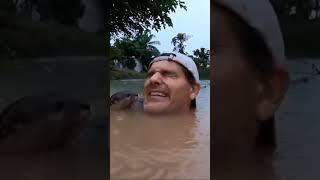 An adorable otter comes to say hi to a man in a river 