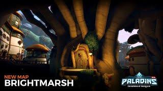 Paladins - Brightmarsh 67 patch(wow)