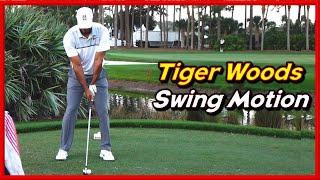 PGA King of Golf "Tiger Woods" Solid Driver-Iron Swing & Slow Motions