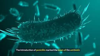 The Day We Discovered Penicillin  | How a Messy Lab Changed the World