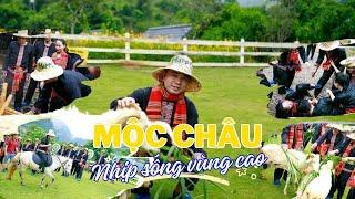 Đuổi bắt lợn rừng, vồ gà đồi tại khu du lịch Mộc Châu Happy Land | Du lịch ẩm thực Việt Nam