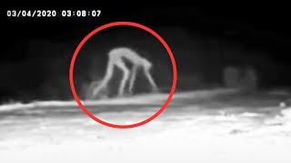 30 Most Mysterious Creatures Caught On Camera | Scary Comp V3