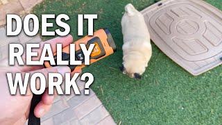 NPS 2023release Dog Bark Deterrent Device Review - Does It Really Work?