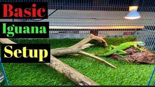 Basic Iguana Setup