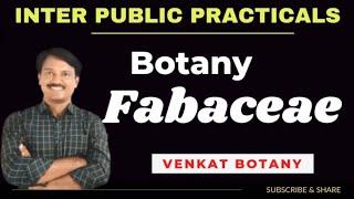 Botany Practicals | Fabaceae | Inter Practical Exams