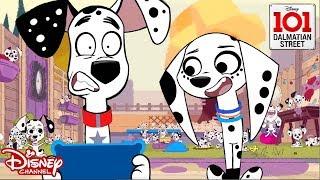 Cleaning : Animals vs Humans | 101 Dalmatian Street | Disney Channel Africa