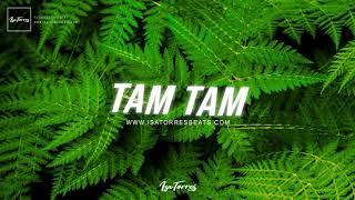 J Balvin x MC Fioti Type Beat 2020 - "Tam Tam" | Brazilian Type Beat Instrumental 2020