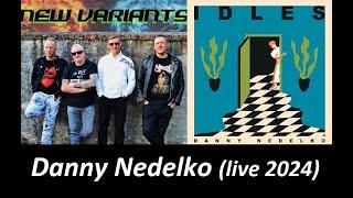 Danny Nedelko (Idles cover) - New Variants 2024