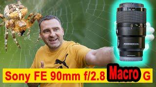 Обзор Sony FE 90mm F2.8 Macro — лучший макро- и портретный объектив?