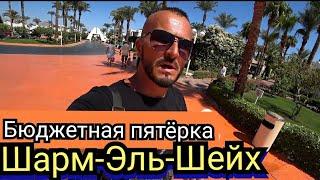 Египет  Пятерка Sharm Dreams Resort Бухта Наама Бей в Шарм Эль Шейхе  Завтрак Номер и территория