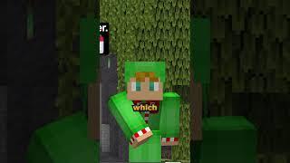 FIREFLY!!!!!!! 🟨⬛ - Minecraft LEAK!