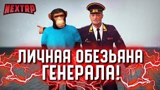 УГАР! ЕРЖАН - ЛИЧНАЯ ОБЕЗЬЯНА ГЕНЕРАЛА! ОТРАВИЛИ И БИЛИ? (Next RP)