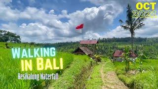 WALKING IN BALI 2021 : Rice terrace walk Besikalung waterfall / Bali October 2021 / ENDLESS ROAD