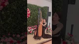 Nia Aladin harp performance pakai mic Seruni SEM 02