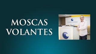 Moscas Volantes e Descolamento do Vítreo | Dr. Gilson Mariano | Oftalmologista