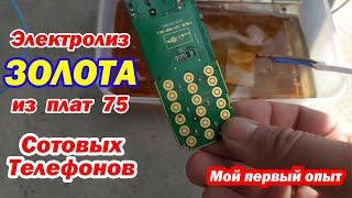 Электролиз золота из плат 75 сотовых!