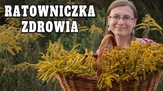 Zbawienna Roślina Dla Twojego Zdrowia - MEGA Działanie!