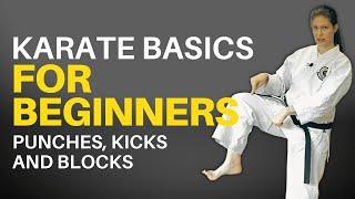 Karate Basics for Beginners (Follow-along Lesson)