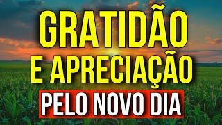 ALTA VIBRAÇÃO DE GRATIDÃO E APRECIAÇÃO PELO NOVO DIA