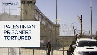 Released Palestinian detainees report of torture in Israeli jails