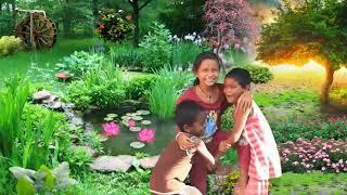 Beautiful Garden Natural Scene Green Screen Background | Garden Chromakey Background  | VFX Footage