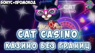  CAT Casino регистрация  Бонус Кэт Казино  Онлайн Кэт Казино  №14