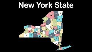 New York State/New York Counties/New York State Counties