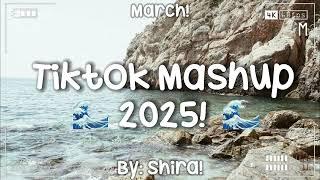 Tiktok Mashup 2025! 