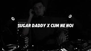 Iuly Neamtu X Delia  -  Cum Ne Noi | Sugar Daddy  (DANI LUPAS Remix)