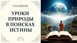 УРОКИ ПРИРОДЫ в поисках ИСТИНЫ / Веды. Философия, религия, наука, саморазвитие.