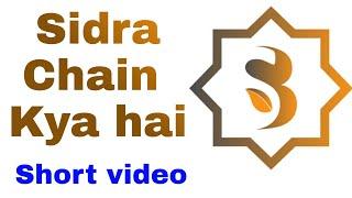 Sidra Chain Kya Hai | Pi Network vs Sidra Chain | what is Sidra chain app in Urdu Hindi