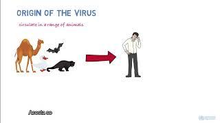 Novel coronavirus (2019-nCoV)