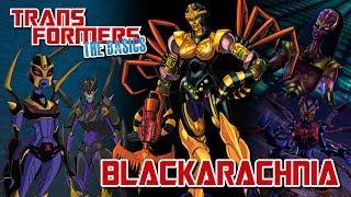 TRANSFORMERS: THE BASICS on BLACKARACHNIA