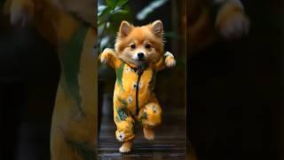 Shiba Inu Dog Motorcycle Dance  #dog #motorcycle #dance #dogdance  #petdance #shiba