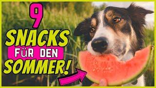 9 Obst & Gemüse Snacks, die Hunde im Sommer lieben 